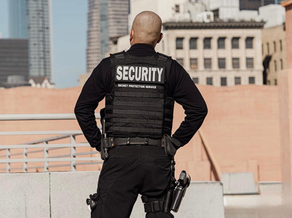 Secret Protection Service